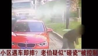 老伯碰瓷爆料视频大全最新,老伯碰瓷爆料视频大全深度解析